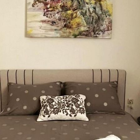 克宁Lijepo Ureden Stan U Centru Grada公寓 外观 照片